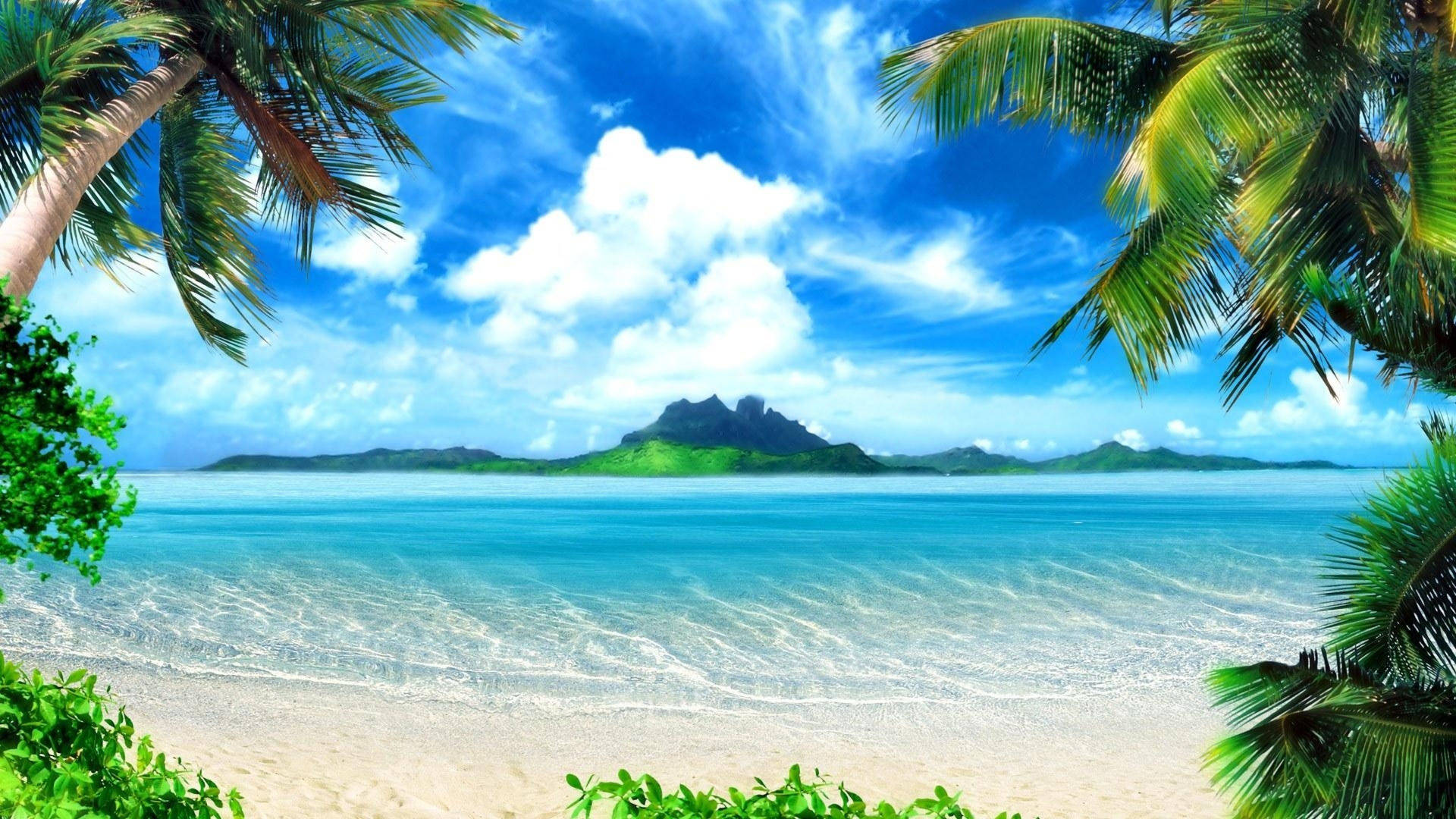 Beach view experience